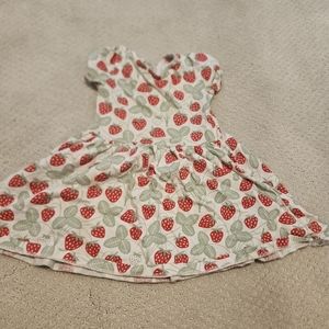Winter Water Factory 3T Strawberry Dress